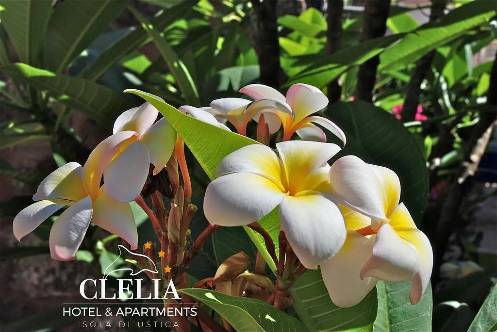 Clelia Case Centro Storico Holiday home Isola di Ustica